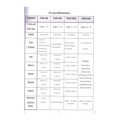 Teachers Guide to The Little Angels Series
