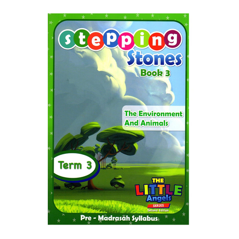 Book cover of 'Stepping Stones Book 3' on a white background