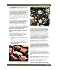 Shamail of the Prophet Muhammad (Study Book)